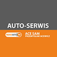 Ace Sam. Warsztat Samochodowy Przemysław Acewicz - Stacje obsługi i warsztaty samochodowe