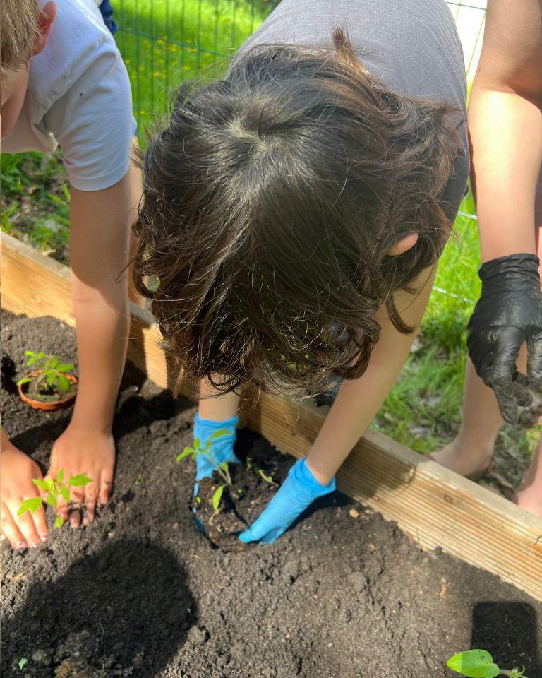 Niepubliczna Szkoła Podstawowa Kropka