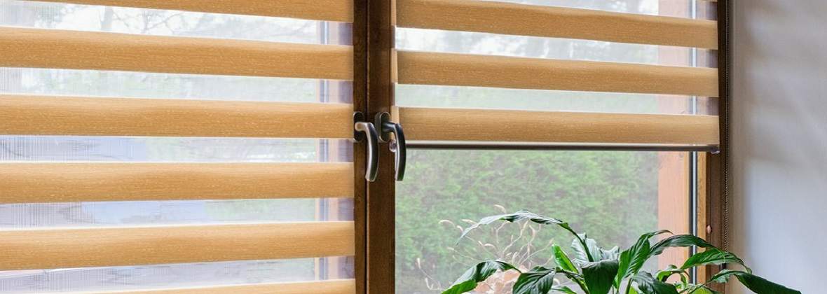 Kameleon Jezierski Piotr