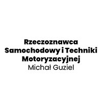Rzeczoznawca Samochodowy i Techniki Motoryzacyjnej Michał Guziel - logo