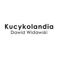 Kucykolandia Dawid Widawski - Organizacja imprez i konferencji