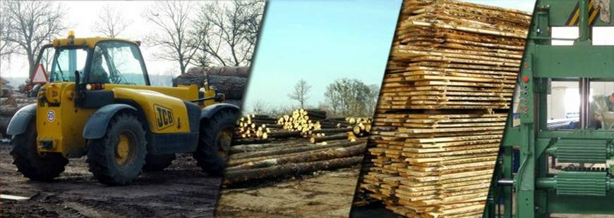 Progres Drewno Sp. z o. o., Kamień Duży