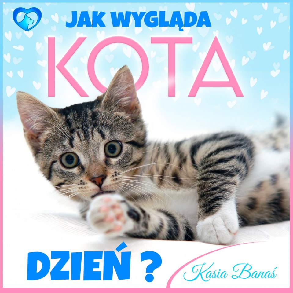 dieta dla psów, dieta dla kotów, konsultacje żywieniowe dla psa lub kota