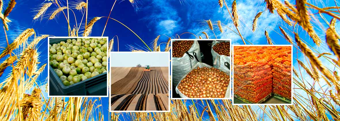 Rolnicza Spółdzielnia Produkcyjna