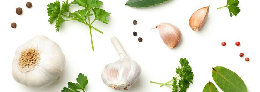 Usługi Tereny Zieleni Tomasz Kapuściński