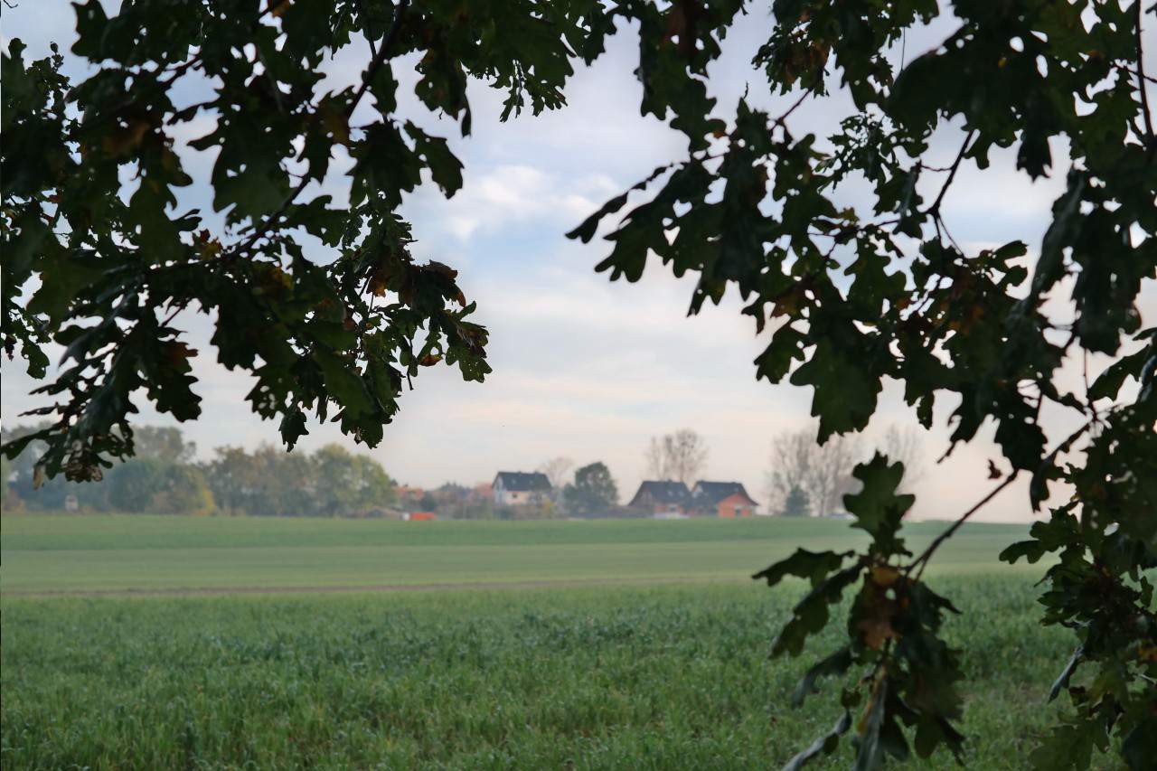 działki na sprzedaż