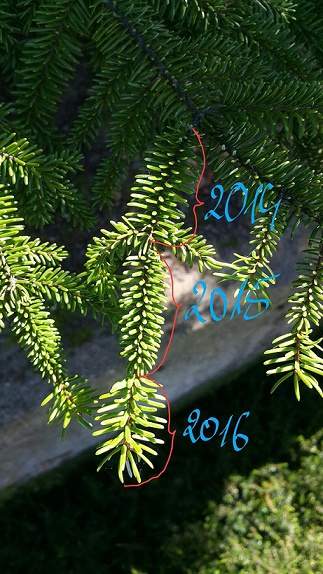 zakładanie ogrodów