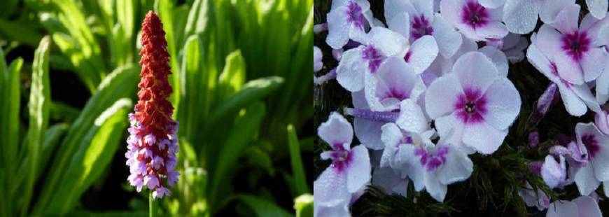 Gospodarstwo Rolne Marcin Jarzyna