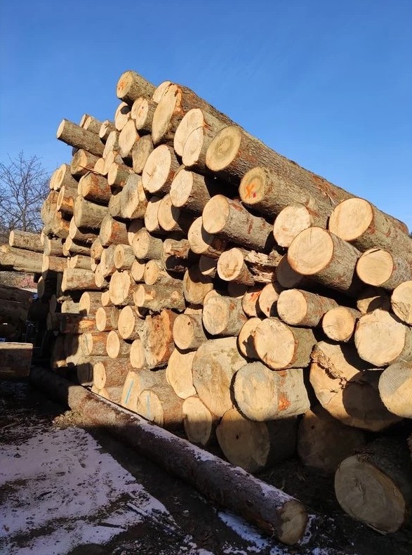 tartak, sprzedaż drewna, drewno budowlane