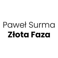 Paweł Surma Złota Faza - Ogrzewanie elektryczne