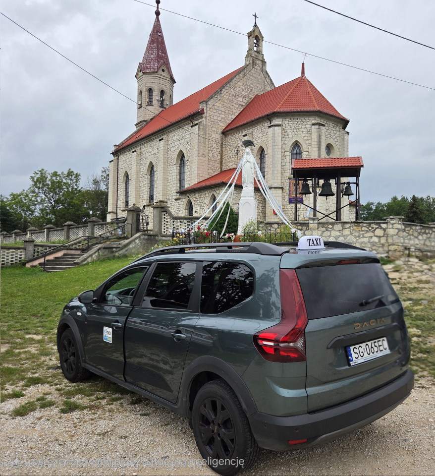 przewóz małych zwierząt