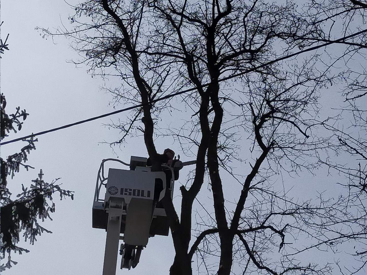 sprzedaż podnośników koszowych