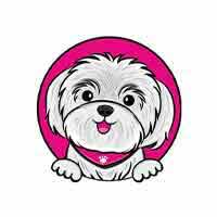 Kesi Salon Pielęgnacji Psów Katarzyna Przybylska - Fryzjerzy dla zwierząt