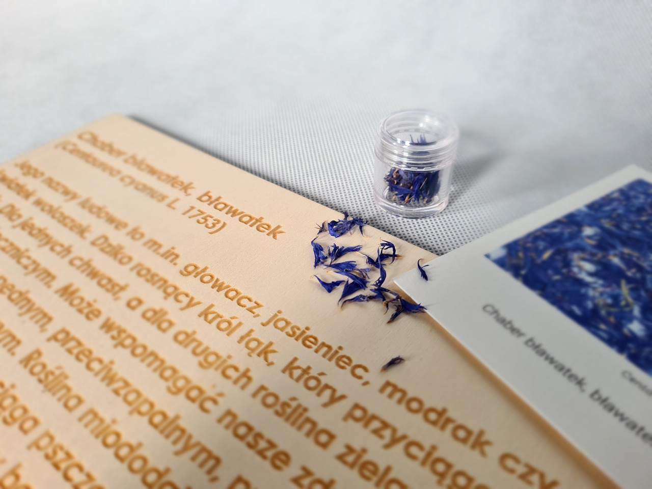 integracja sensoryczna dla dzieci