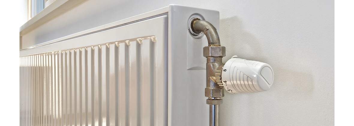 Phu Pufik Robert Radzioch