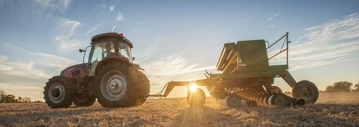 Usługi siewu zbóż - Przemysław Szajuk