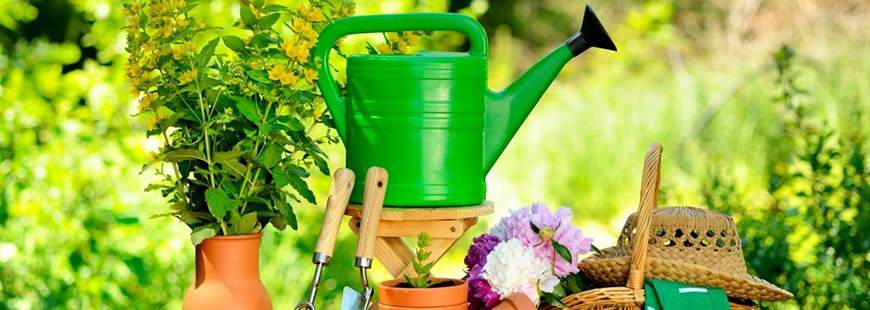 FH Lena Mirosław Bałakier