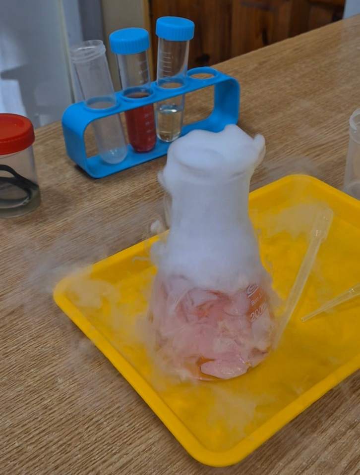 zajęcia edukacyjne dla młodzieży