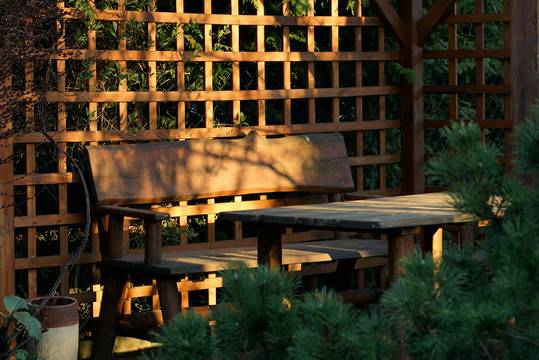 drewno konstrukcyjne