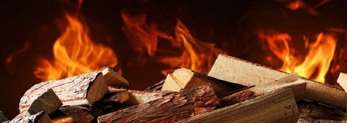 Przemysław Cybulski