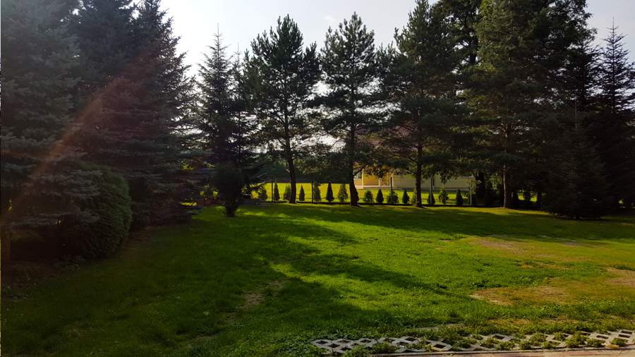 opieka nad osobami starszymi