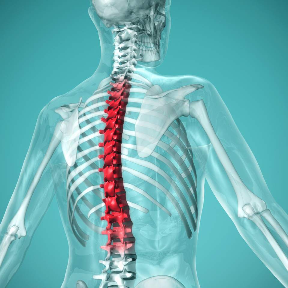 kinezyterapia bóle kręgosłupa