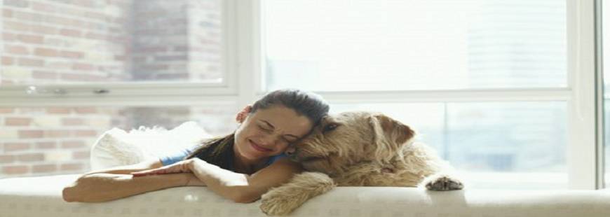 AS Lecznica weterynaryjna