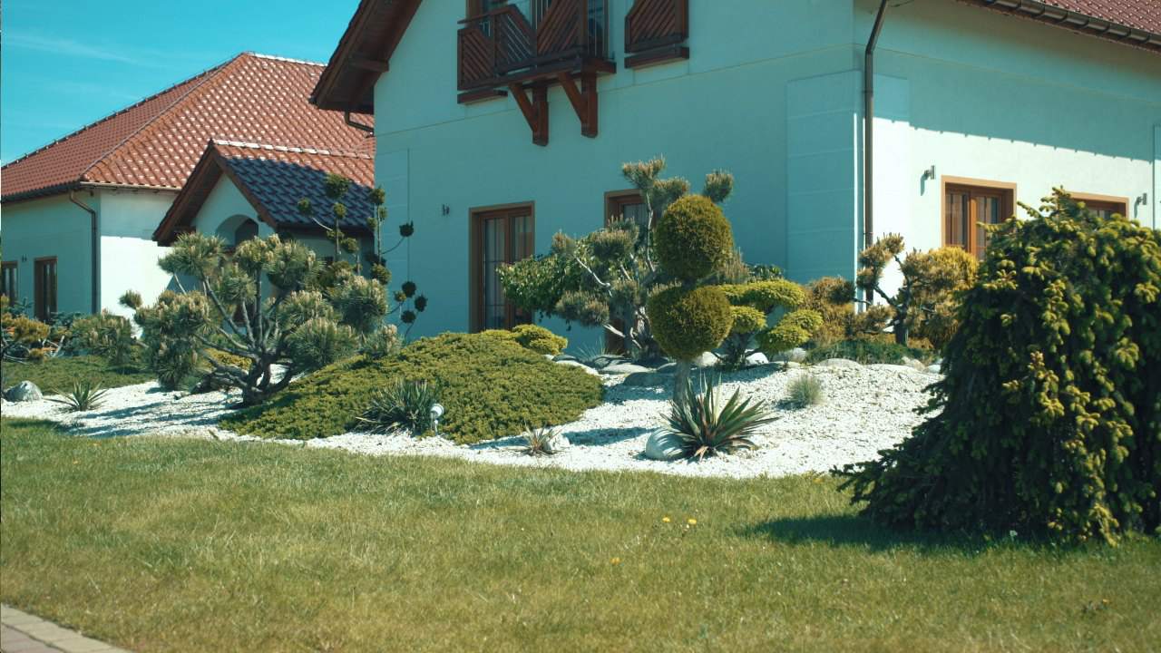 automatyczny barman na imprezy