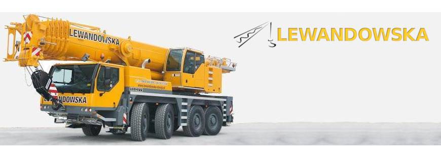 Lewandowska Sp. z o.o. Sp.k.
