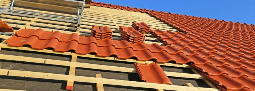 Dachy - Rafał Wyrostek