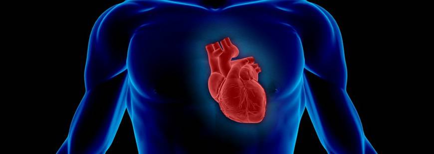 Promed Sp. z o.o. Nzoz