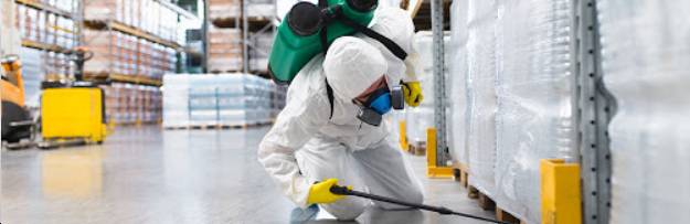 dezynsekcja