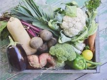 transport owoców i warzyw