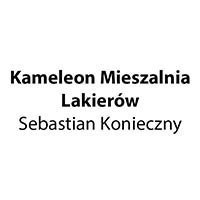 Kameleon Mieszalnia Lakierów Sebastian Konieczny - Sklepy wielobranżowe