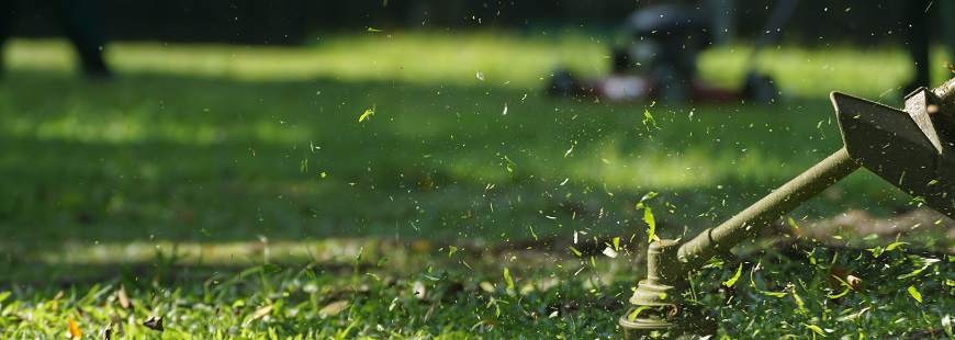 Adam Garwoliński Usługi Ogrodnicze