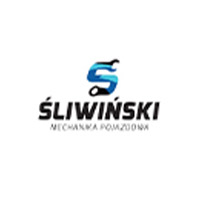 Karol Śliwiński Mechanika pojazdowa - Stacje obsługi i warsztaty samochodowe