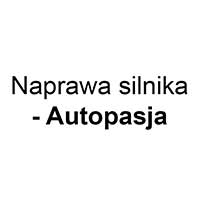 Naprawa silnika - Autopasja - Regeneracja części samochodowych