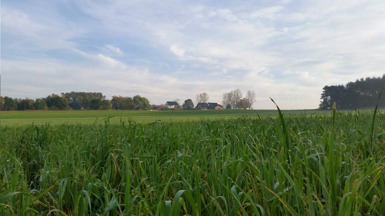 działki na sprzedaż