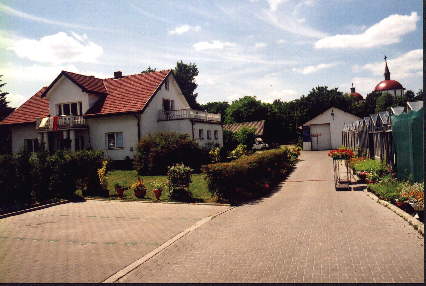 centrum ogrodnicze, rośliny balkonowe, doniczkowe, rabatowe, krzewy, rośliny rabatowe