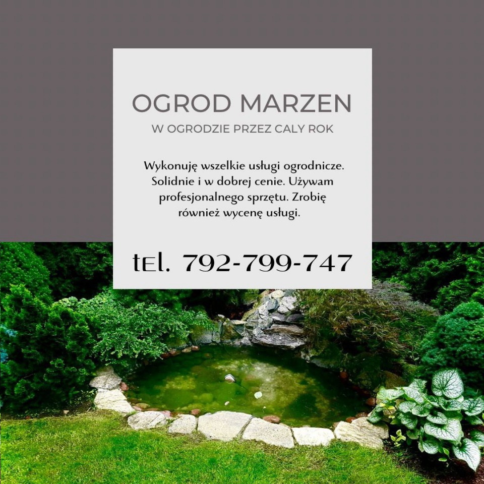 wycinka drzew, Ogród marzeń Mykola Stadnik, Warszawa