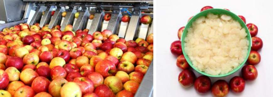 Wasilewski Przetwórstwo Owoców i Warzyw Sp. z o.o.