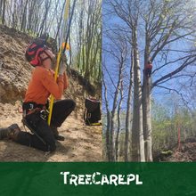 wycinka drzew metodą alpinistyczną