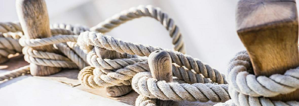 Damian Polak ZPUH Texalin