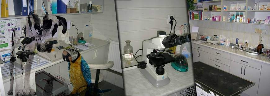 KordianaVet Przychodnia weterynaryjna