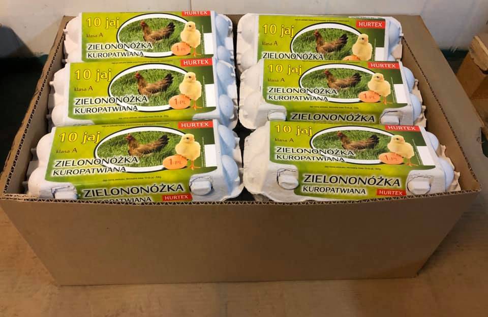 jaja zielononóżka