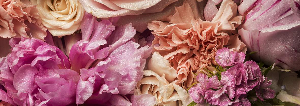 Kwiatowy Kącik- Kwiaciarnia Florystka