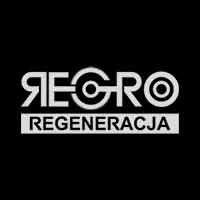 Regro Robert Puczka - Regeneracja części samochodowych