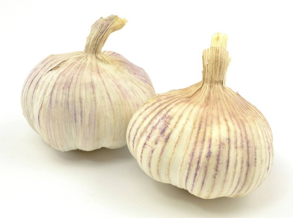 czosnek fermentowany