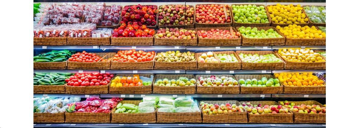 Mk Logistic Michał Kołek