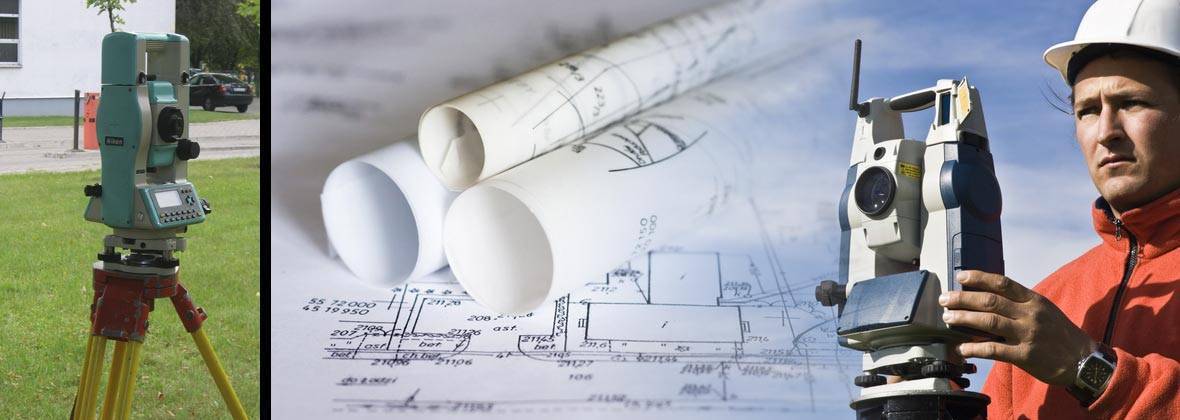 Algeo Piotr Kuźnicki